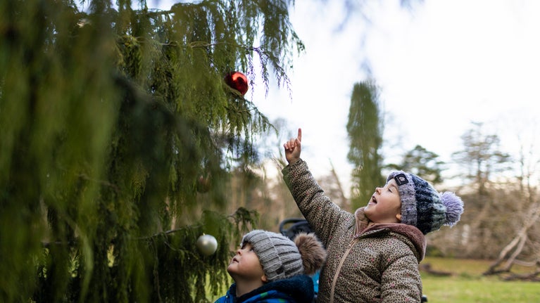 Family exploring the Christmas trail at Rowallane Garden, County Down